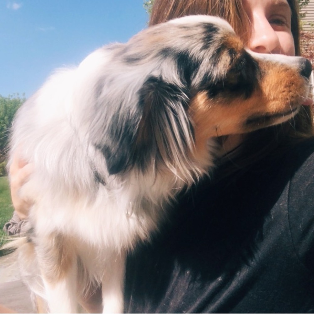 Meet your Posher, Elyse